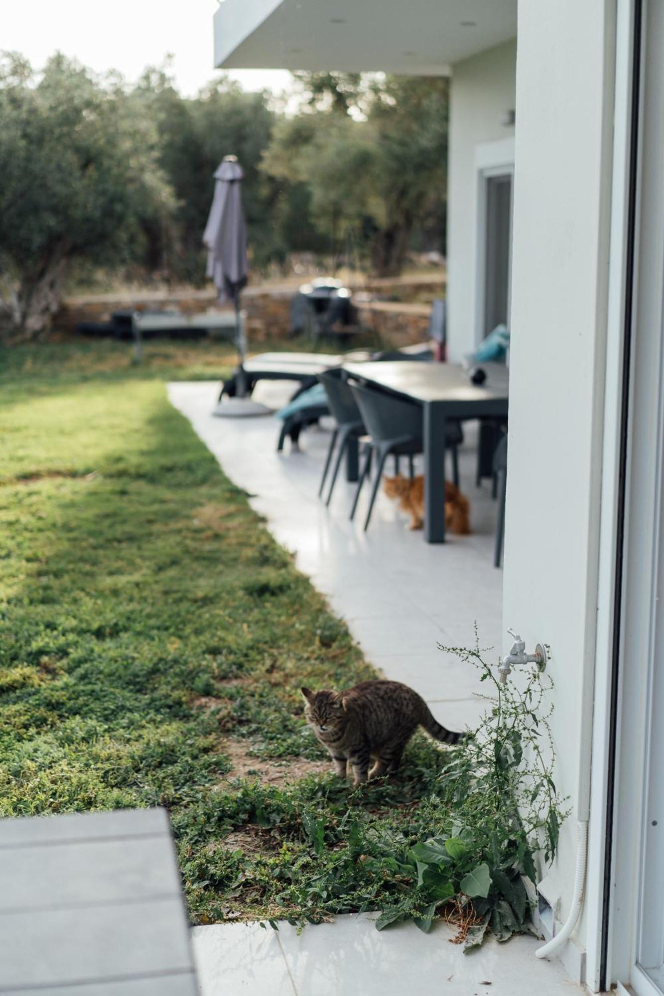 Blue Waves Luxury Suites By The Sea Plomari Exterior photo